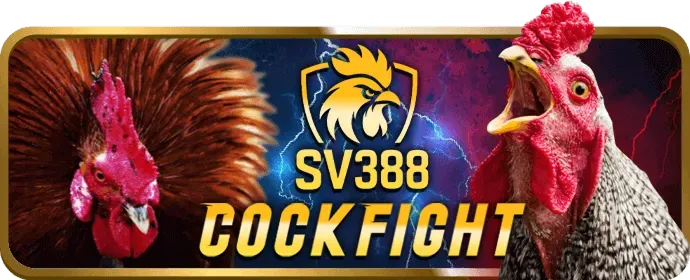 Ưu đãi và khuyến mãi 789vip casino